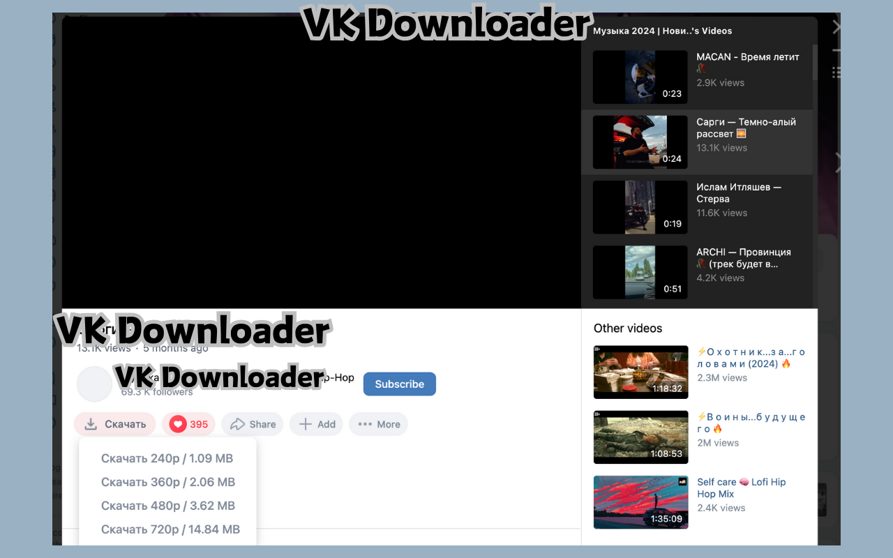 VK Video Downloader Extension Interface